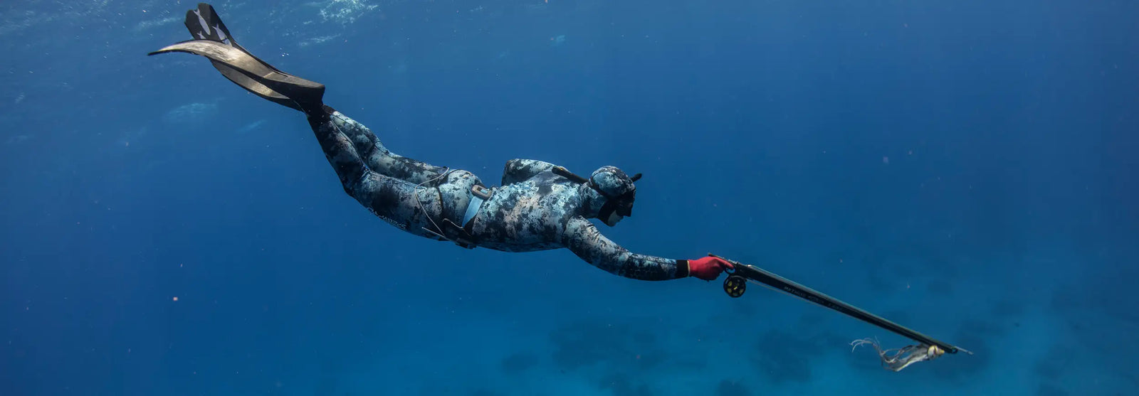 Spearfishing Experts
