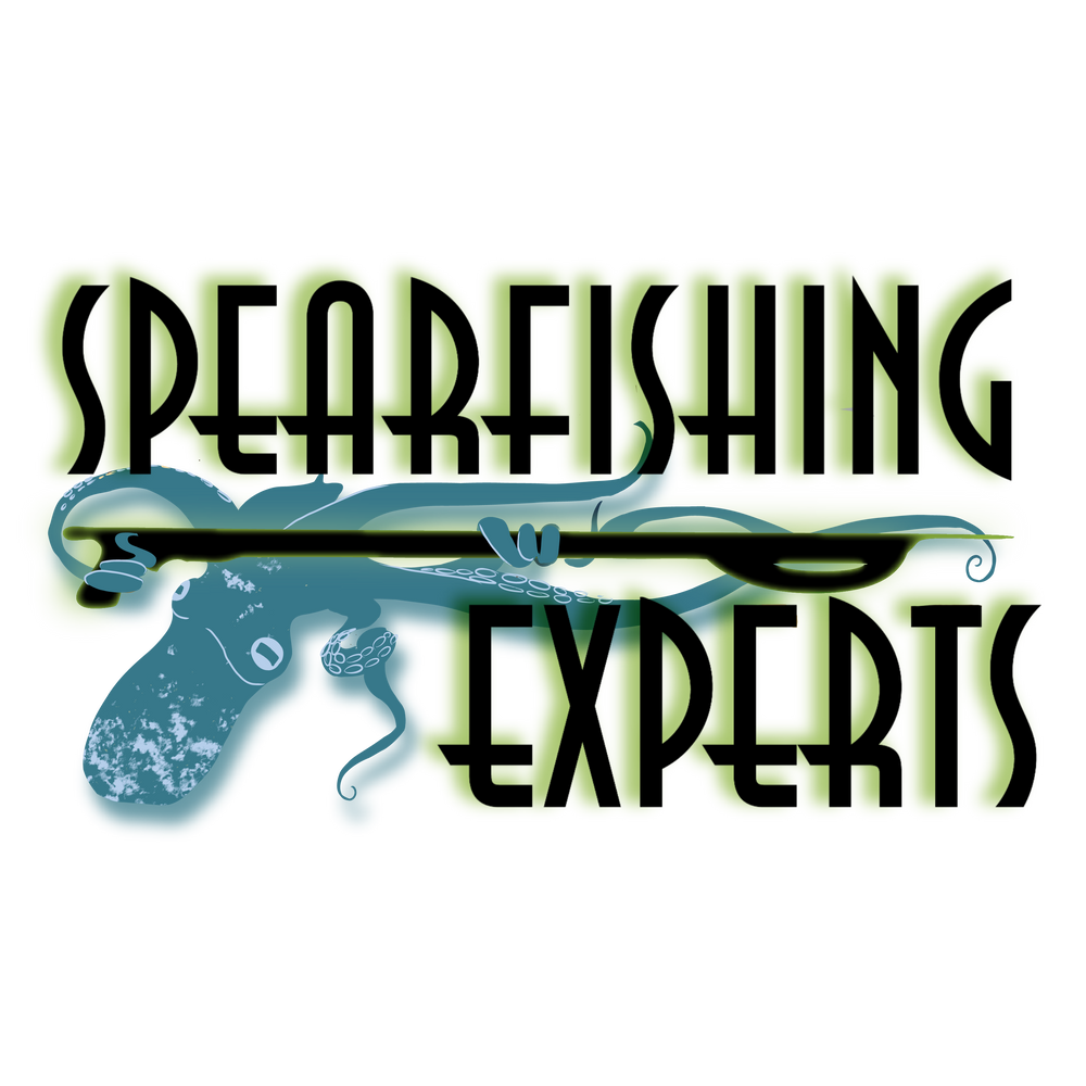 Spearfishing Experts