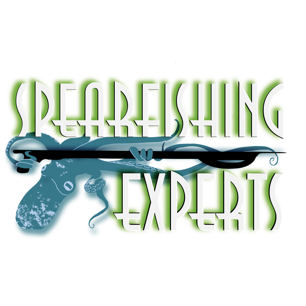 Spearfishing Experts