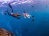 Freediving Photgraphy