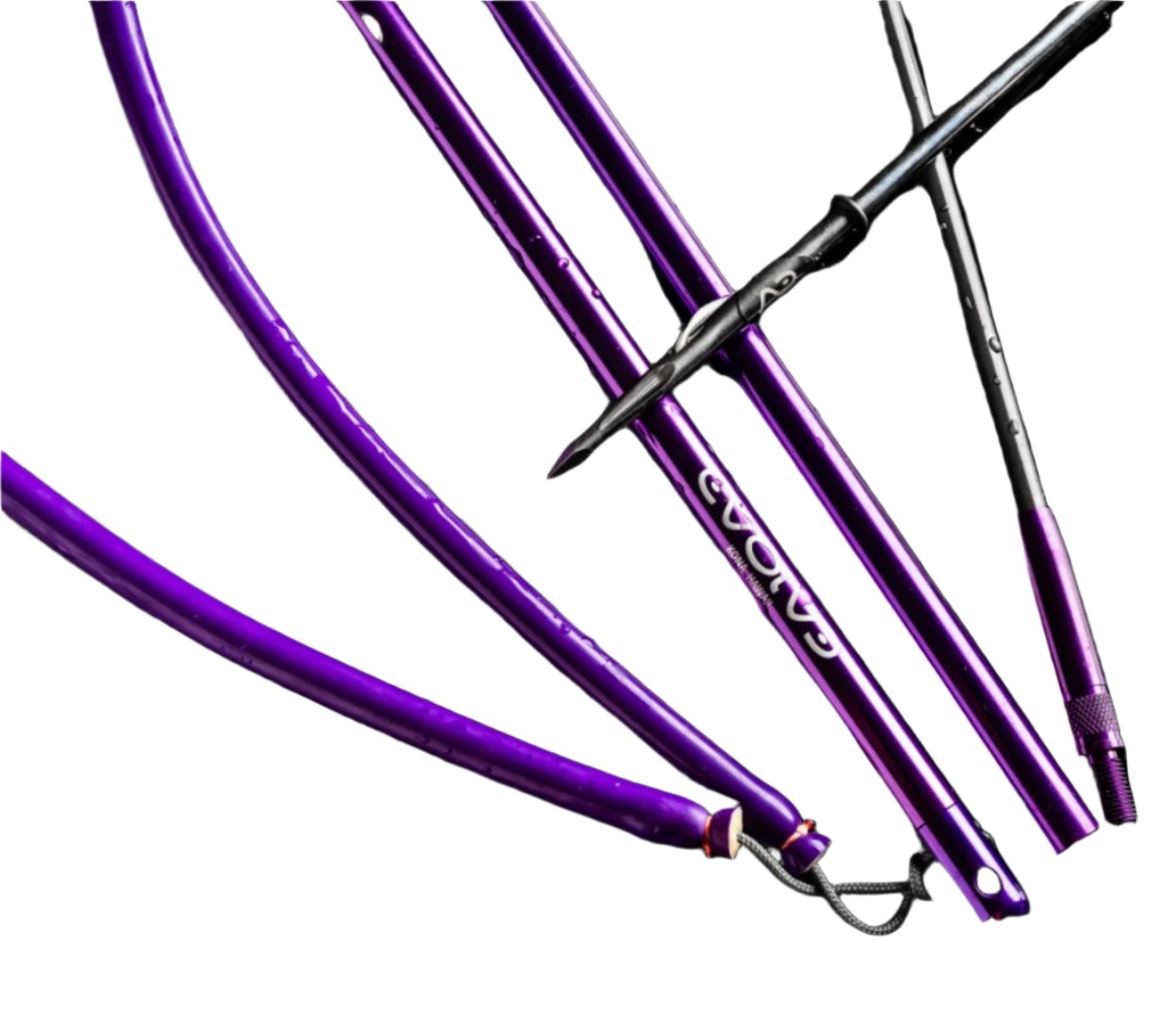 entry level pole spear fishing Evolve Aftershock Polespear (AST)
