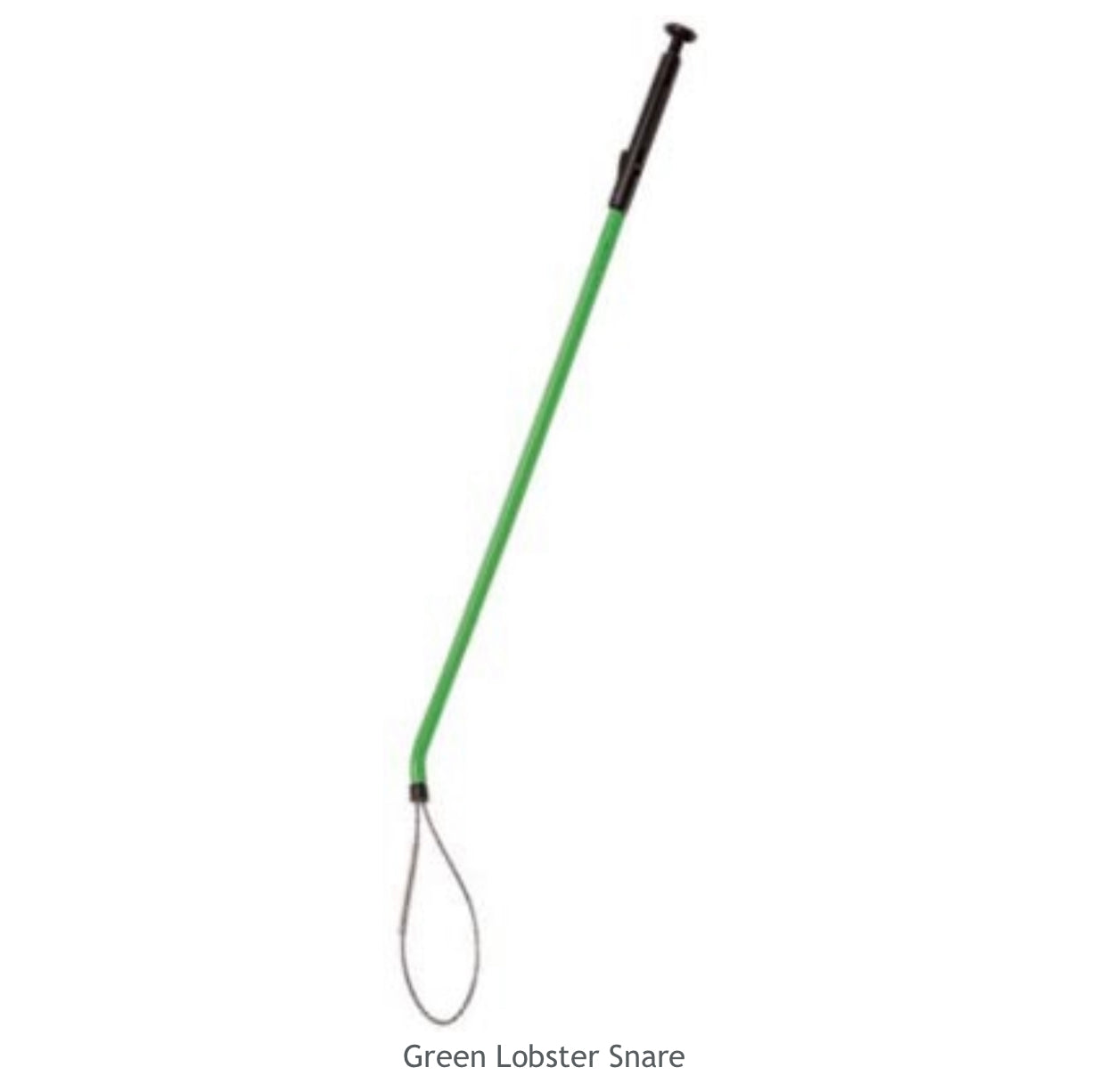 Spearfishing - Lobster Gear