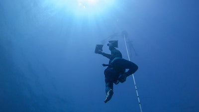 F.i.i. Level 1 and 2 Freediving Courses