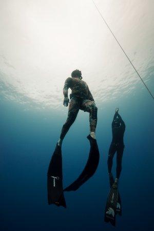 F.i.i. Level 1 and 2 Freediving Courses